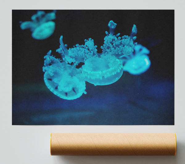 Aqua Jellyfish Dance Giclee Print