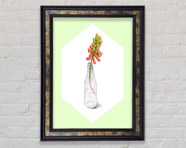 Flower In A Bottle Framed Print