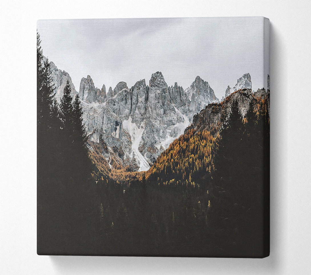  A Canvas Print of Grey Mountain Majesty Canvas Print