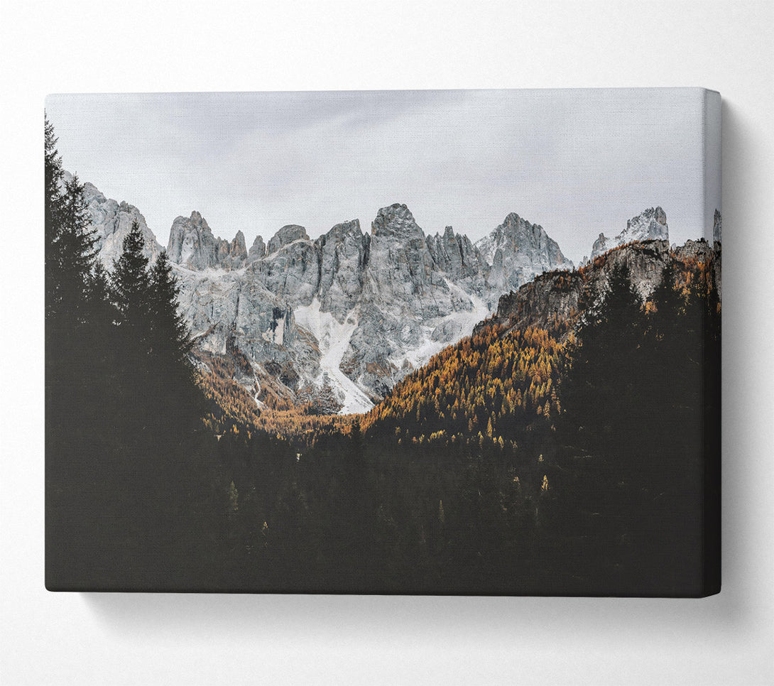  A Canvas Print of Grey Mountain Majesty Canvas Print