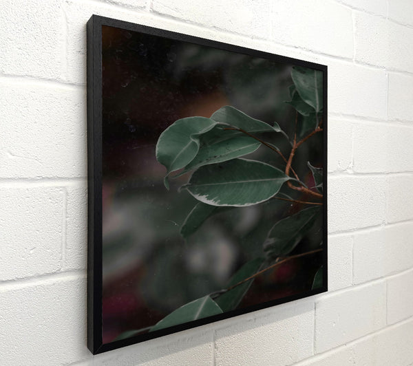 Emerald Leaf Reflections