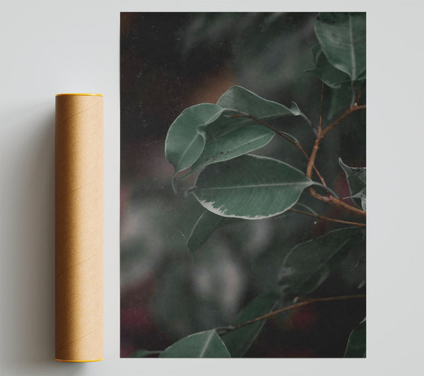 Emerald Leaf Reflections Giclee Print