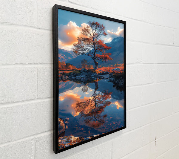 Orange Tree Reflection