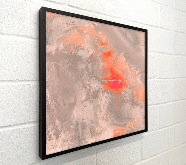 Salmon Swirls On Grey