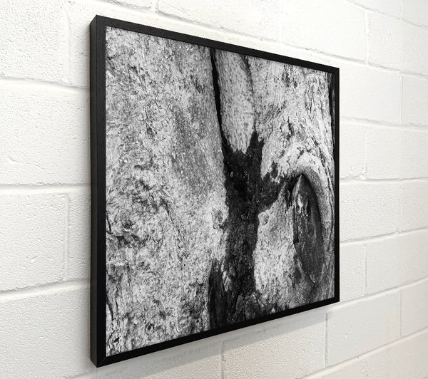 The Blackened Bark