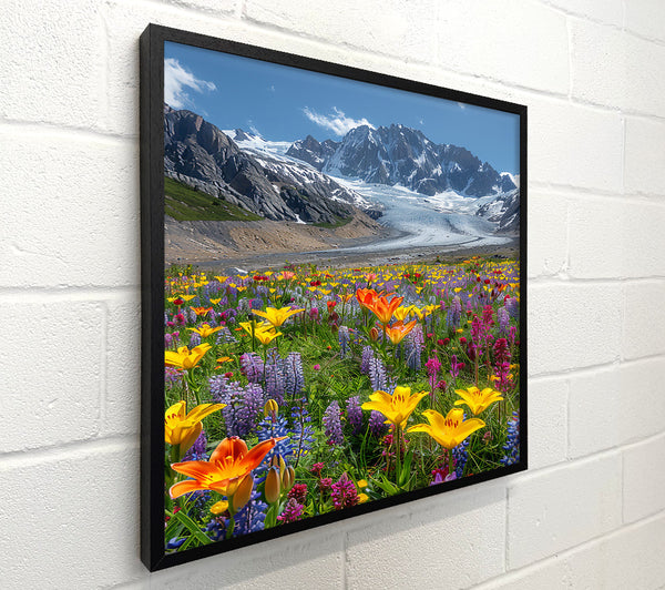 Yellow Blooms By Glacier