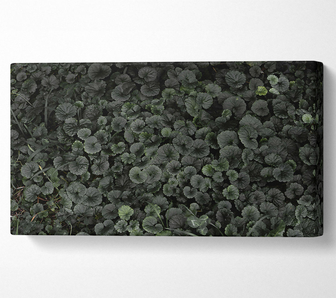  A Canvas Print of Emerald Green Carpet Canvas Print
