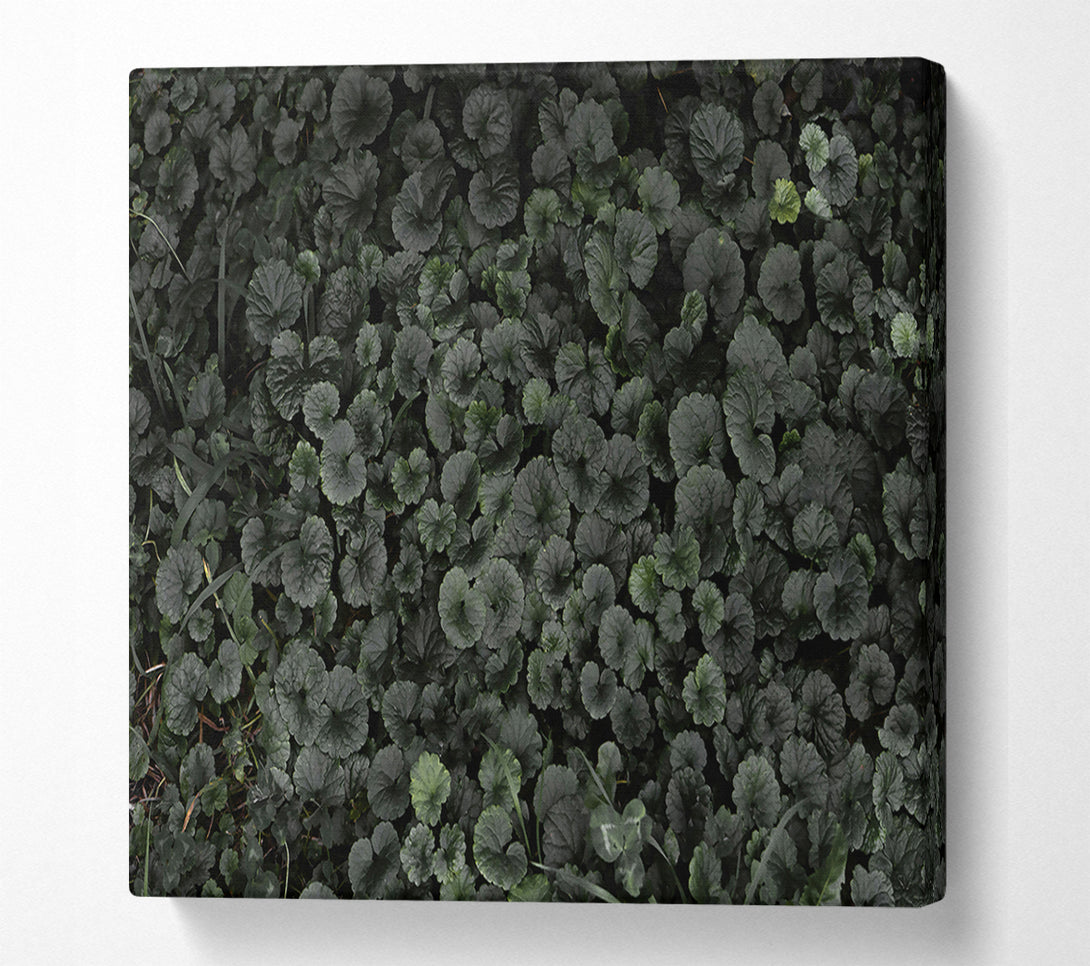  A Canvas Print of Emerald Green Carpet Canvas Print
