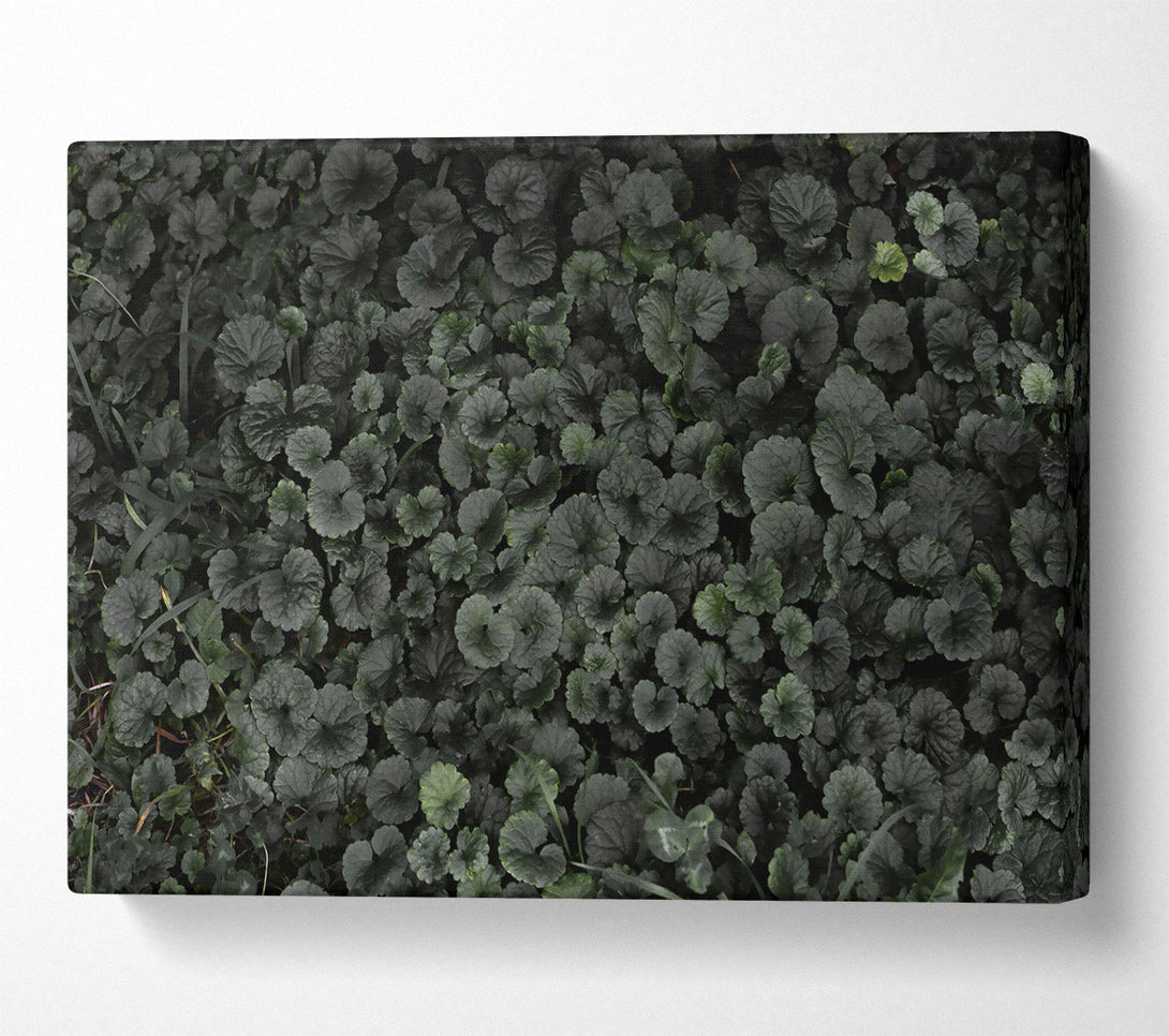  A Canvas Print of Emerald Green Carpet Canvas Print