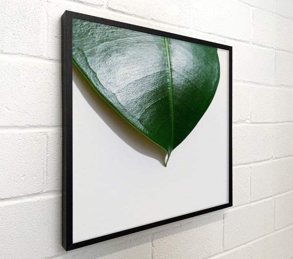 Emerald Leaf Study