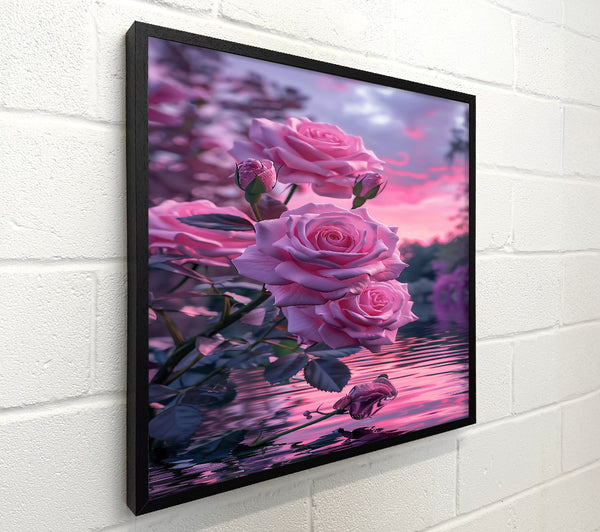 Pink Roses Reflecting