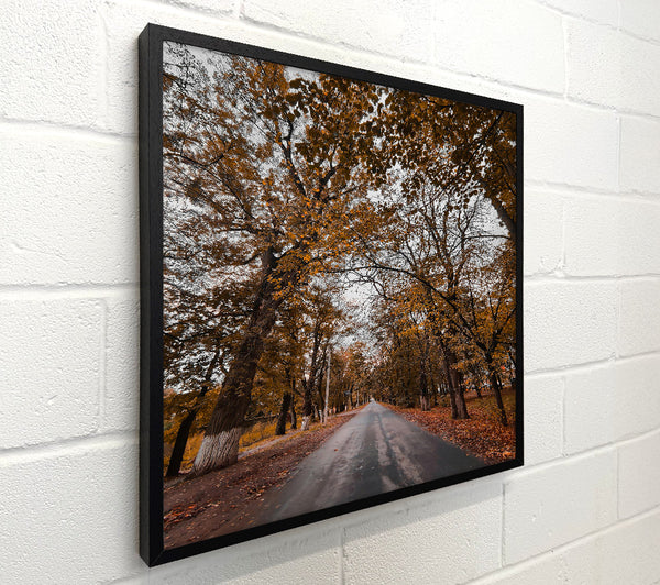Golden Autumn Road