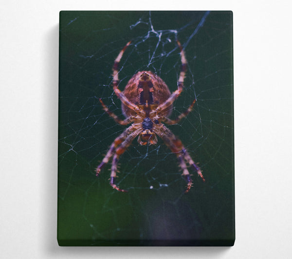  A Canvas Print of Crimson Spider Web Canvas Art