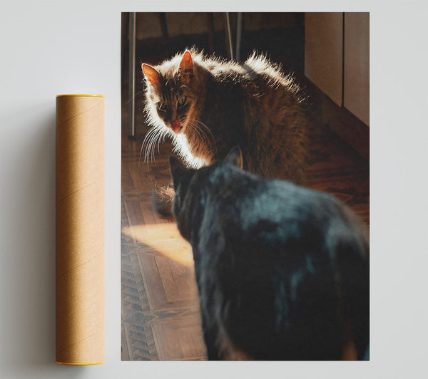 Golden Furred Curiosity Poster