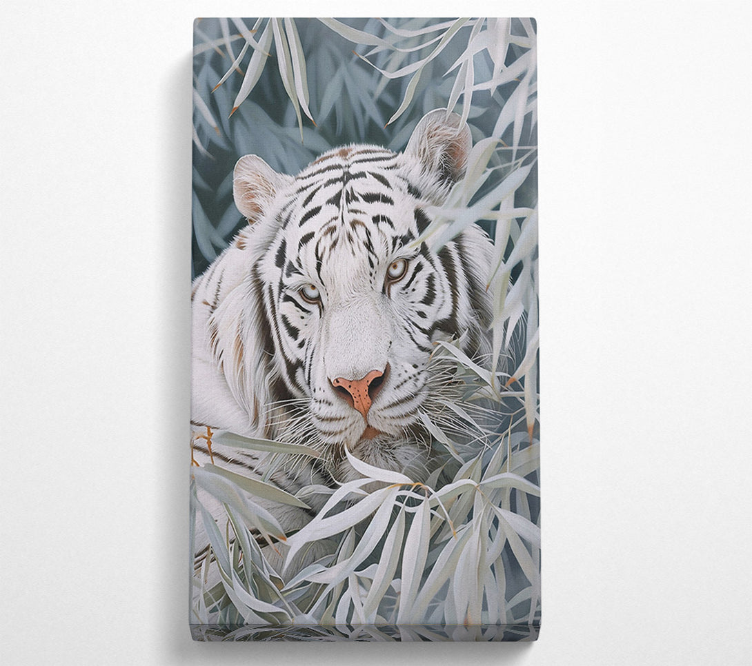  A Canvas Print of White Tiger'S Gaze Canvas Wall Art