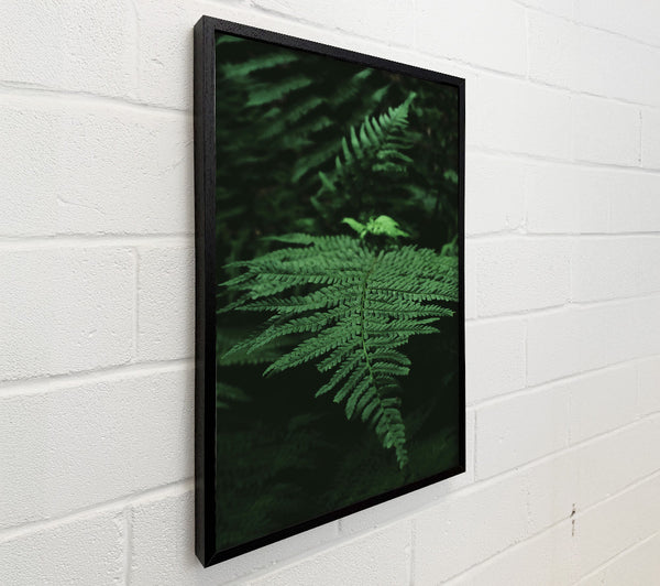 Emerald Fern Frond