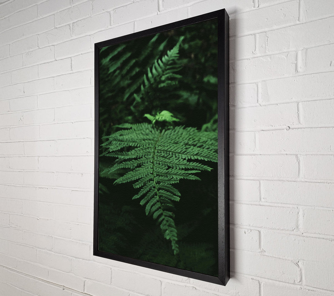  A Canvas Print of Emerald Fern Frond Canvas Wall Art
