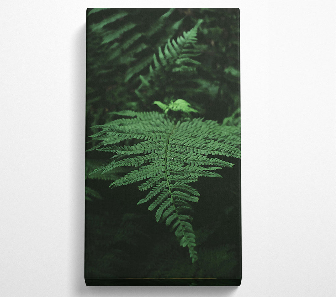  A Canvas Print of Emerald Fern Frond Canvas Wall Art
