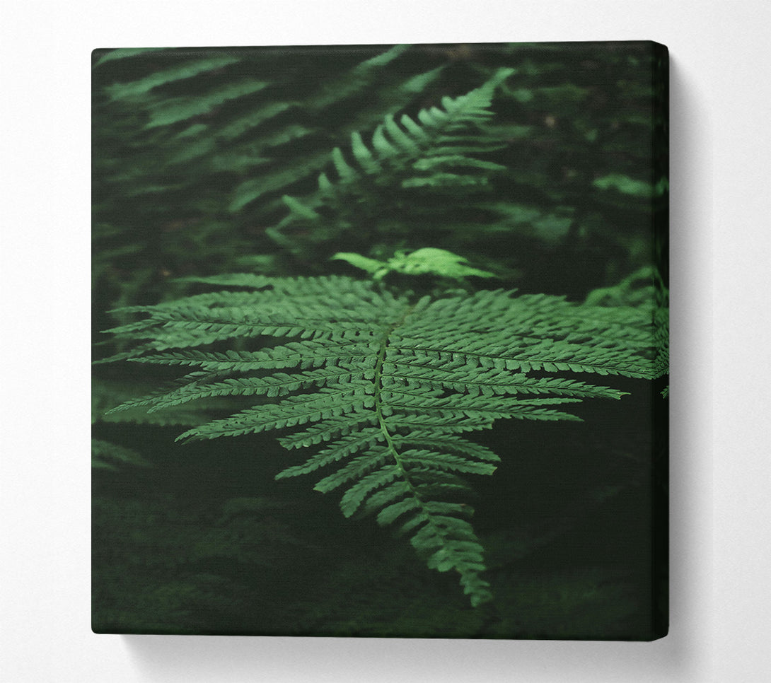  A Canvas Print of Emerald Fern Frond Canvas Wall Art