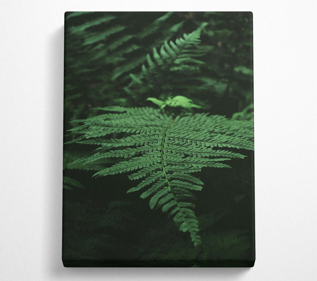  A Canvas Print of Emerald Fern Frond Canvas Wall Art