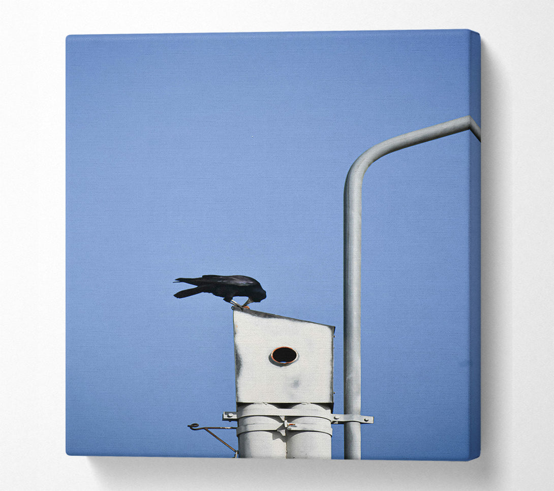  A Canvas Print of Blue Sky Crow Nest Canvas Art