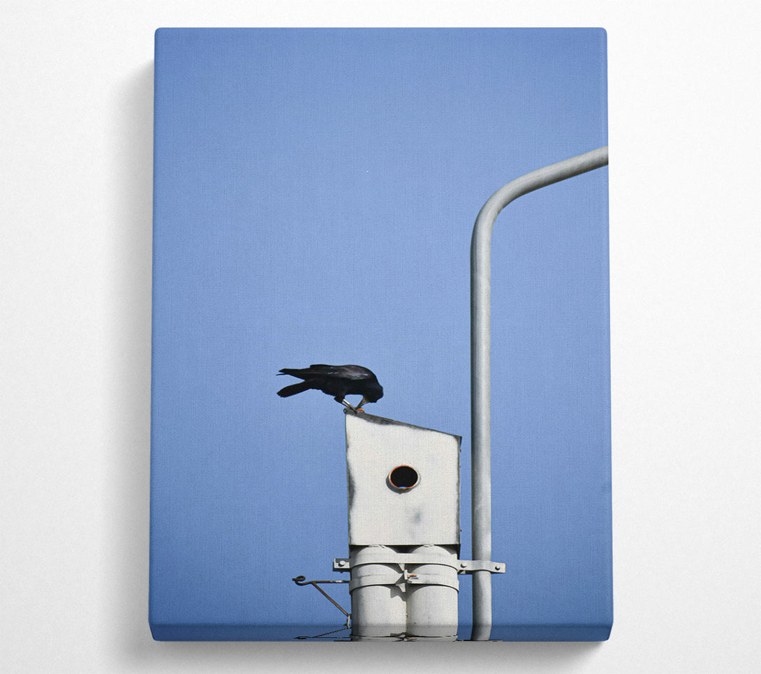  A Canvas Print of Blue Sky Crow Nest Canvas Art