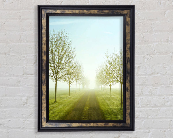 Foggy Road Framed Print