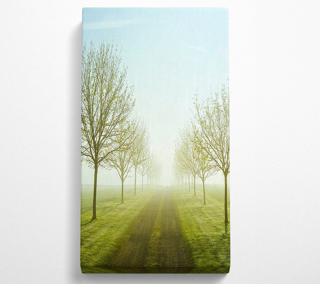  A Canvas Print of Foggy Road Canvas Art