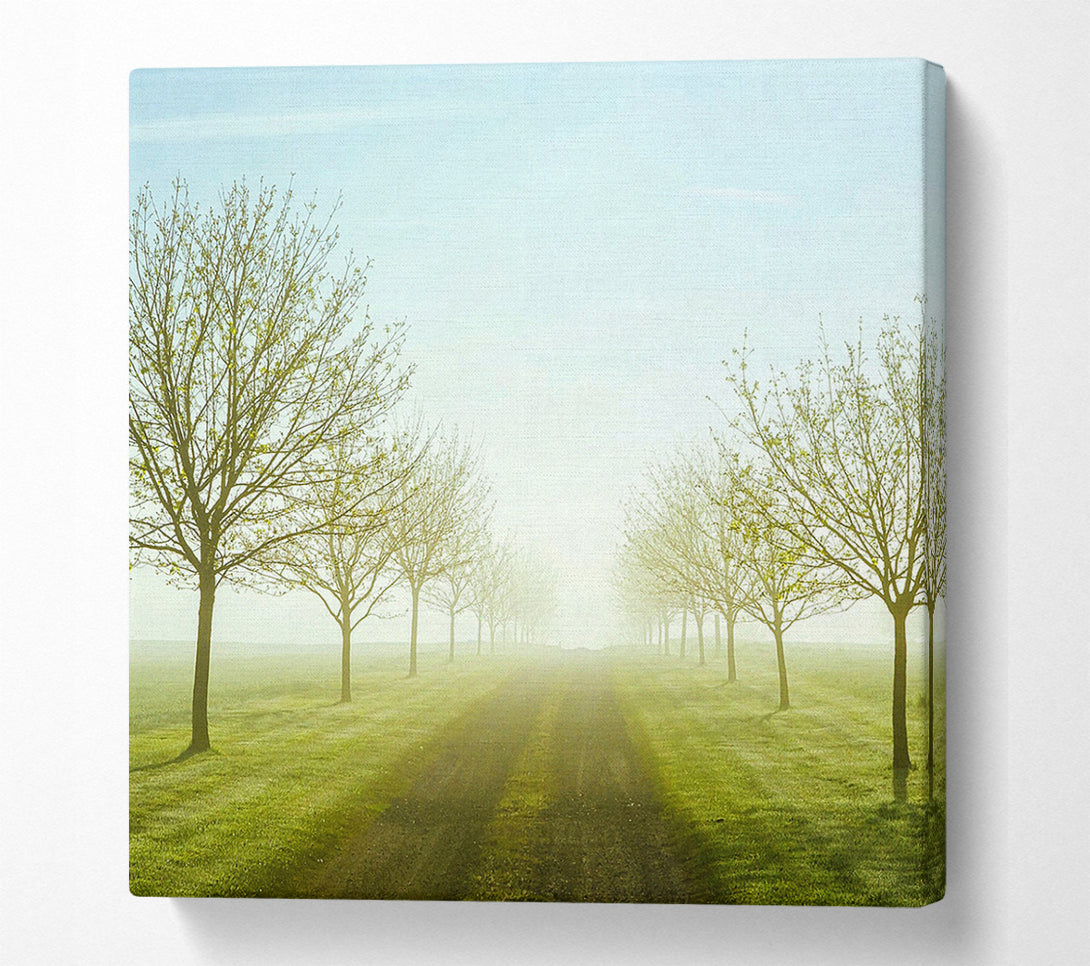  A Canvas Print of Foggy Road Canvas Art