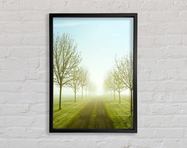 Foggy Road Framed Print