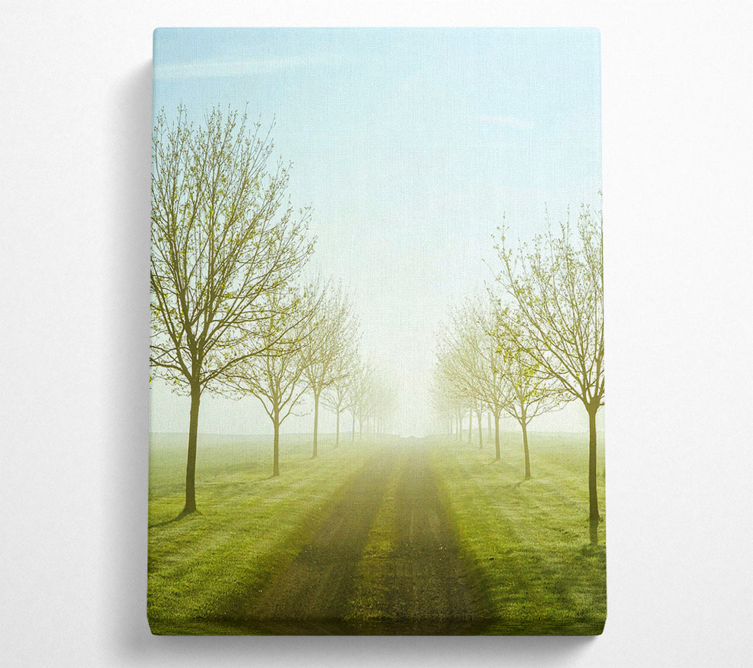  A Canvas Print of Foggy Road Canvas Art