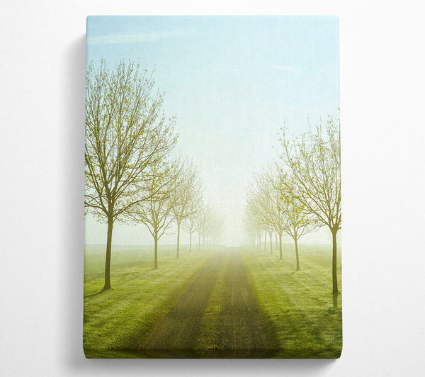  A Canvas Print of Foggy Road Canvas Art