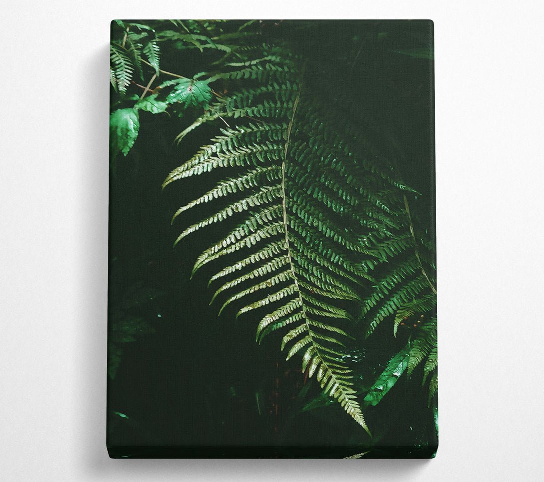  A Canvas Print of Emerald Fern Fronds Canvas Art