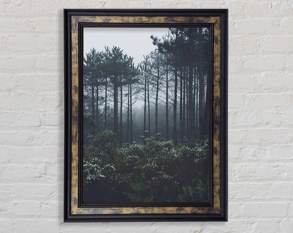 Forest Greys Framed Print