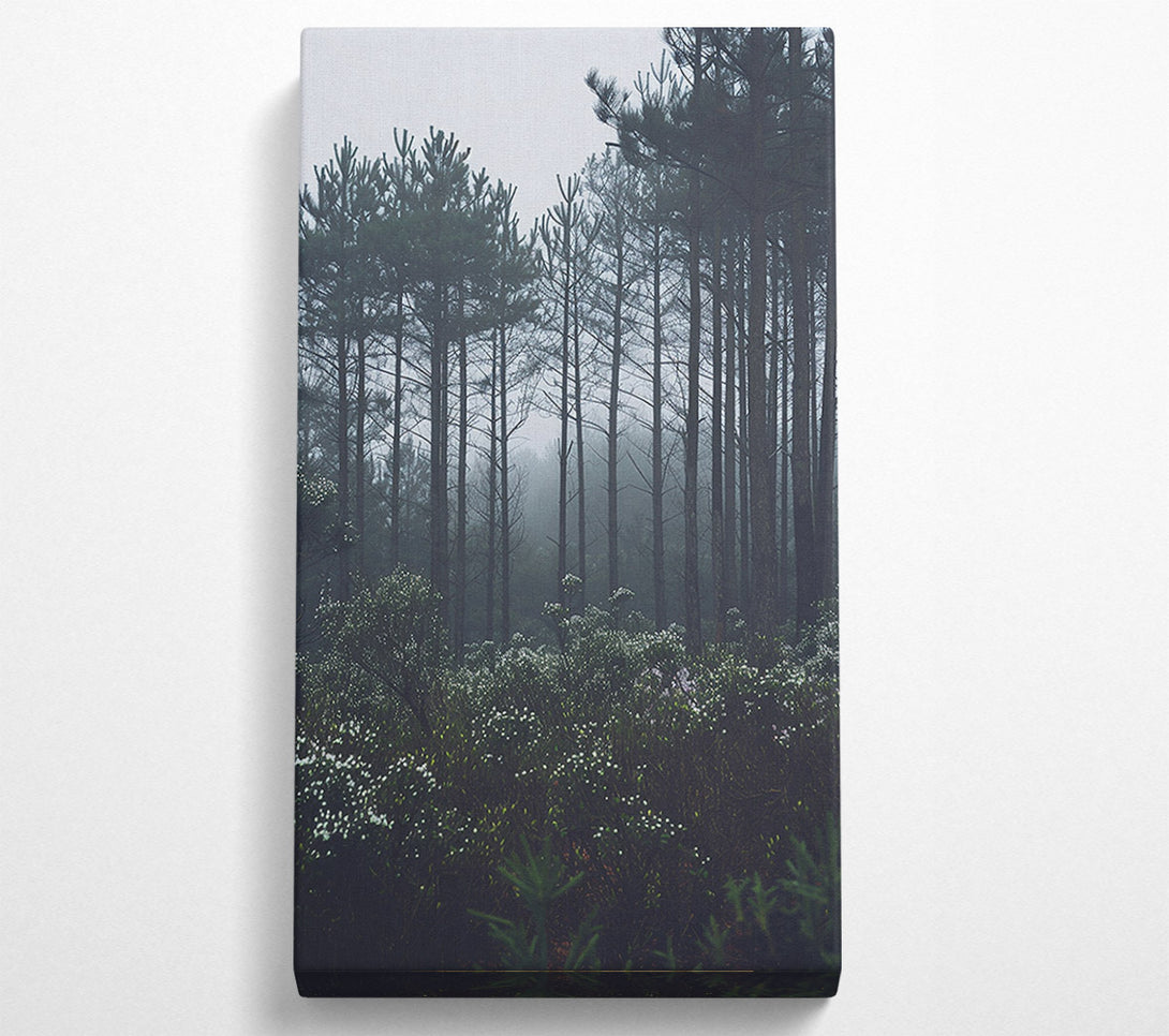  A Canvas Print of Forest Greys Canvas Wall Art