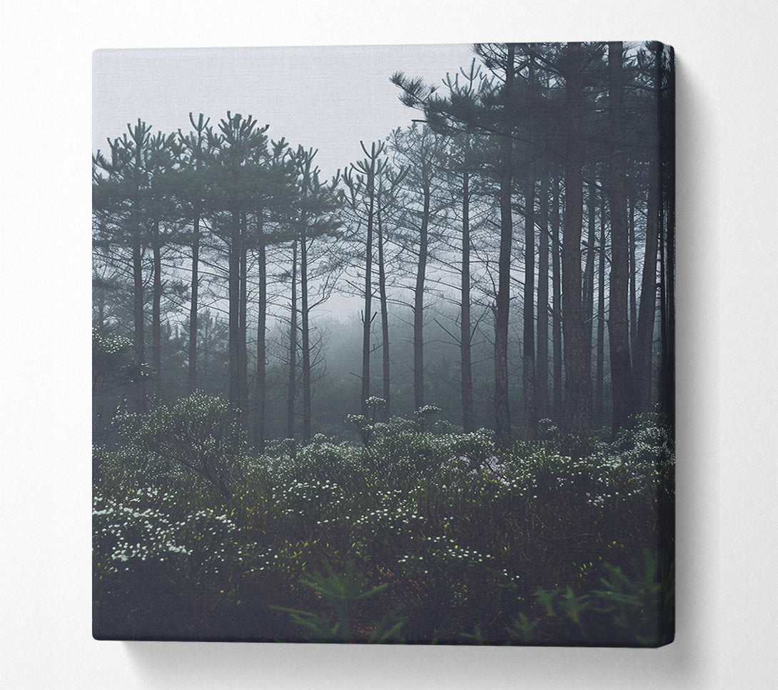  A Canvas Print of Forest Greys Canvas Wall Art