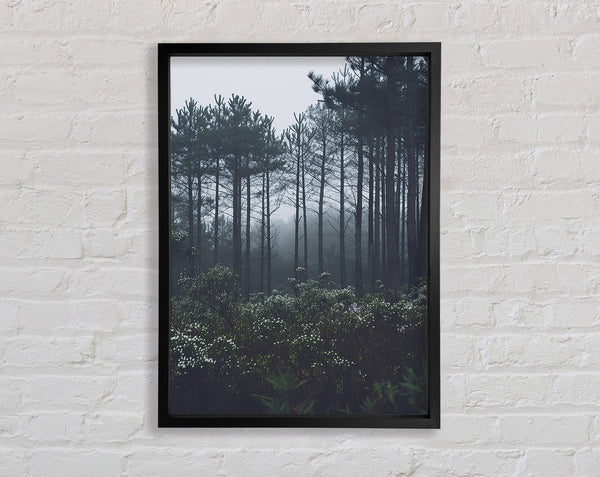 Forest Greys Framed Print