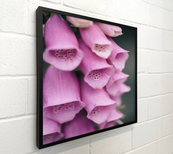 Pink Flower Cascade