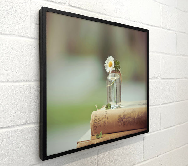 Pale Flower On Books