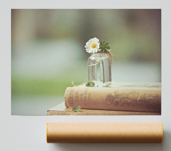 Pale Flower On Books Print