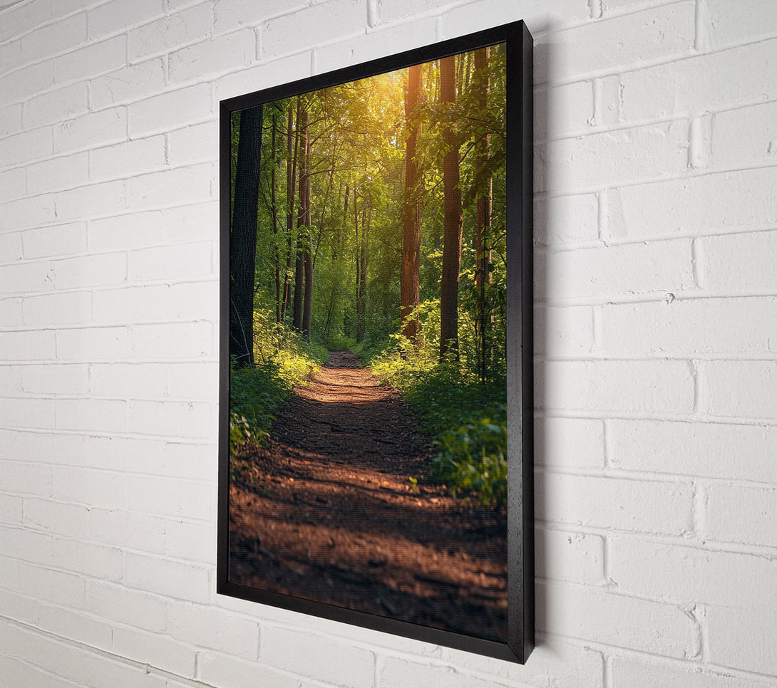  A Canvas Print of Forest Walk Canvas Print