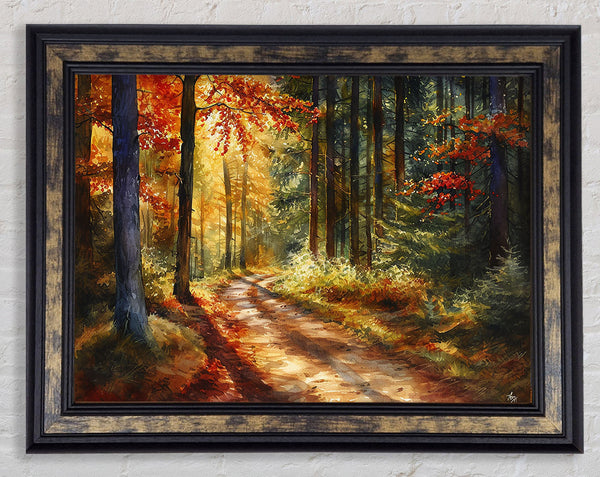 Forest Woodland Walk Framed Print