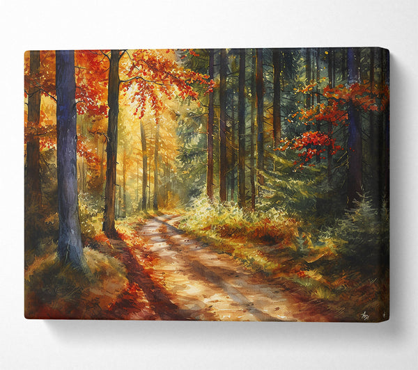  A Canvas Print of Forest Woodland Walk Canvas Art