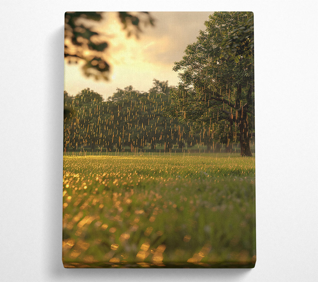  A Canvas Print of Golden Rain Shower Canvas Wall Art