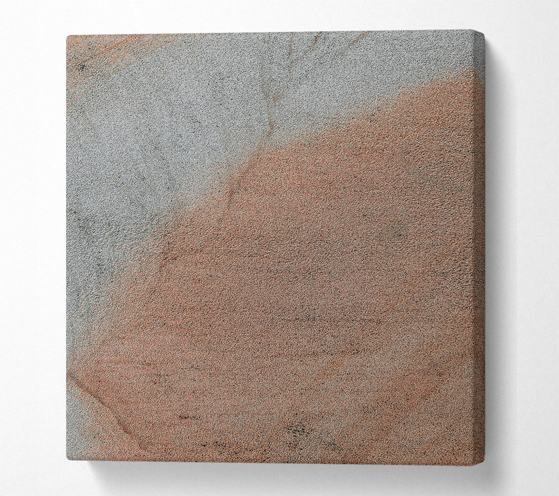  A Canvas Print of Dusty Rose Hues Canvas Wall Art