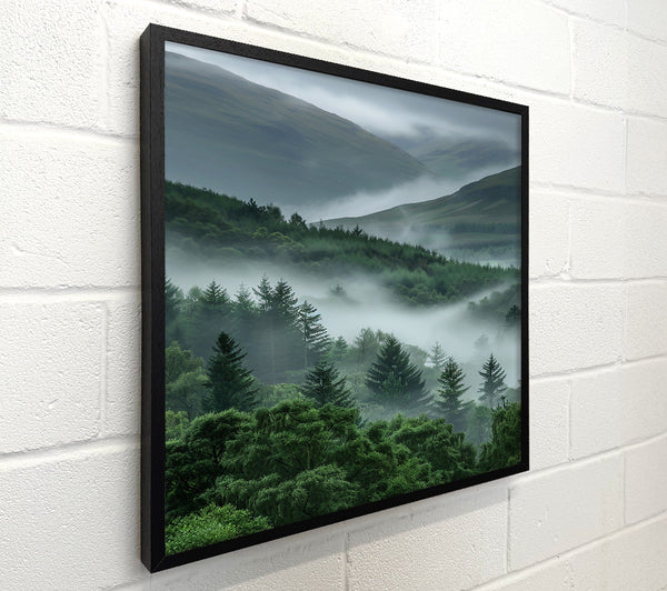 Emerald Foggy Valley