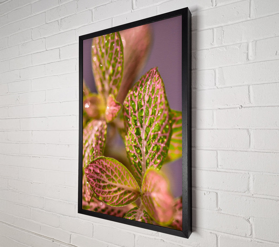  A Canvas Print of Pink Dewy Leaves Canvas Wall Art