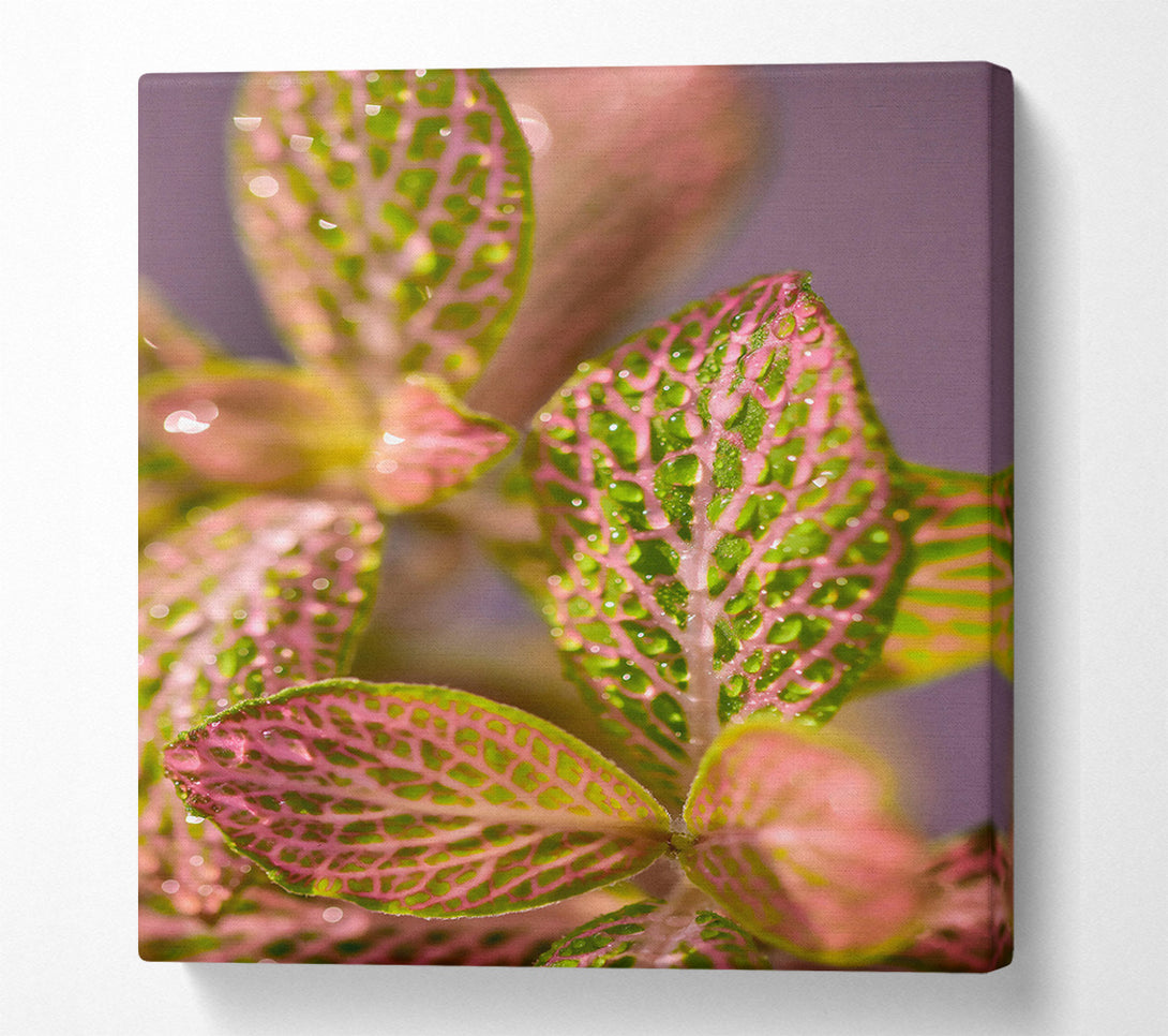  A Canvas Print of Pink Dewy Leaves Canvas Wall Art