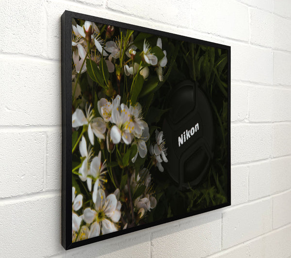 Black Lens In Blossoms