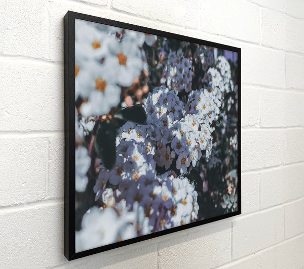 Pale Blooms In Grey